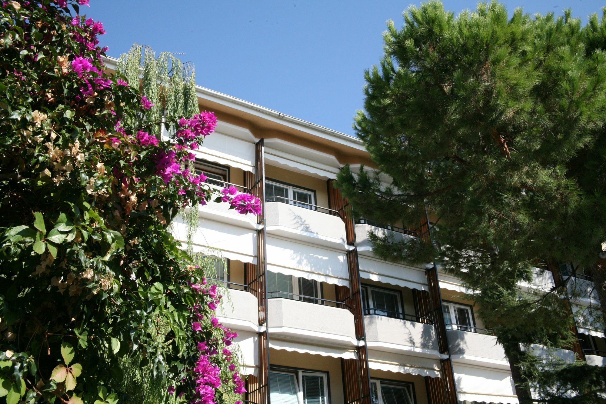 Hotel Palace Varraze Exterior foto